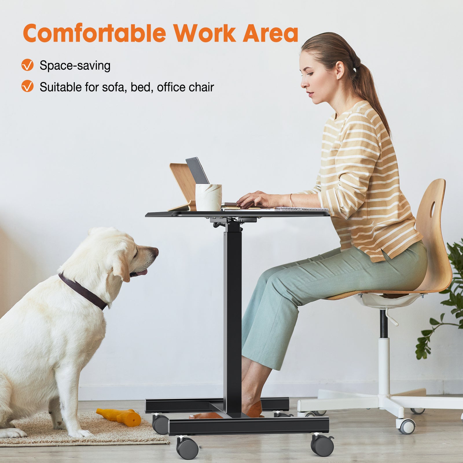 Small Laptop Rolling Standing Desk